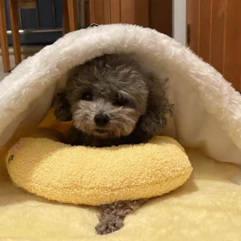 Pet Neck Pillow