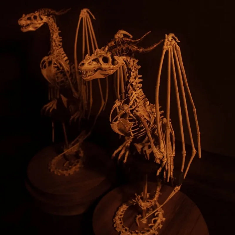 Skeleton Curiosity Cabinet