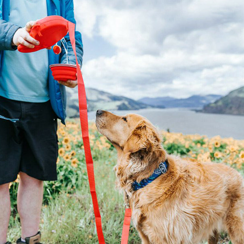 TrustOwl™ 4 in 1 Dog Retractable Leash