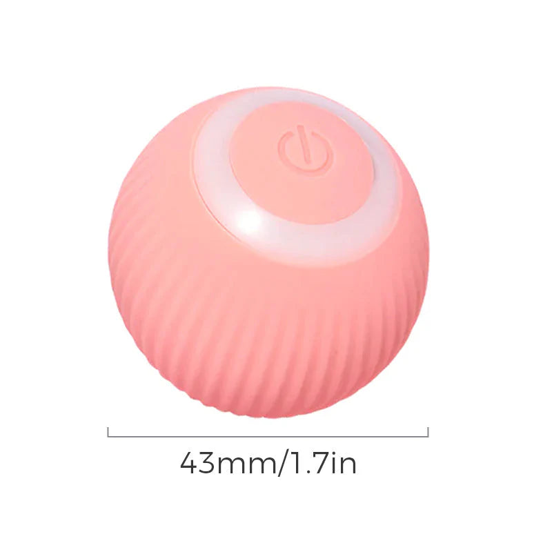 Gravity Run Sports Car Toy
