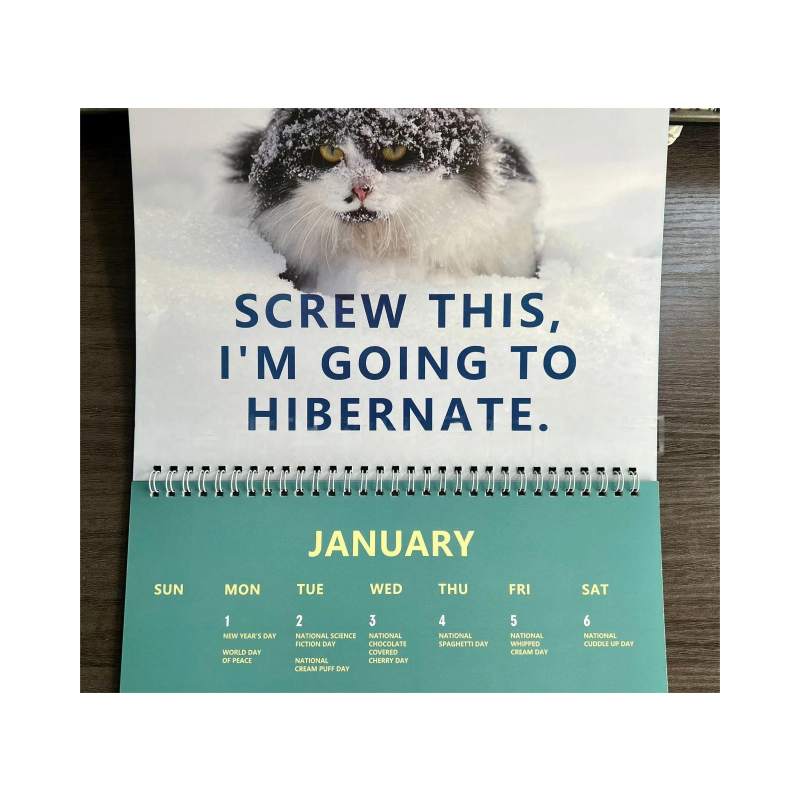2025 PissedOff Cats Calendar trustowl