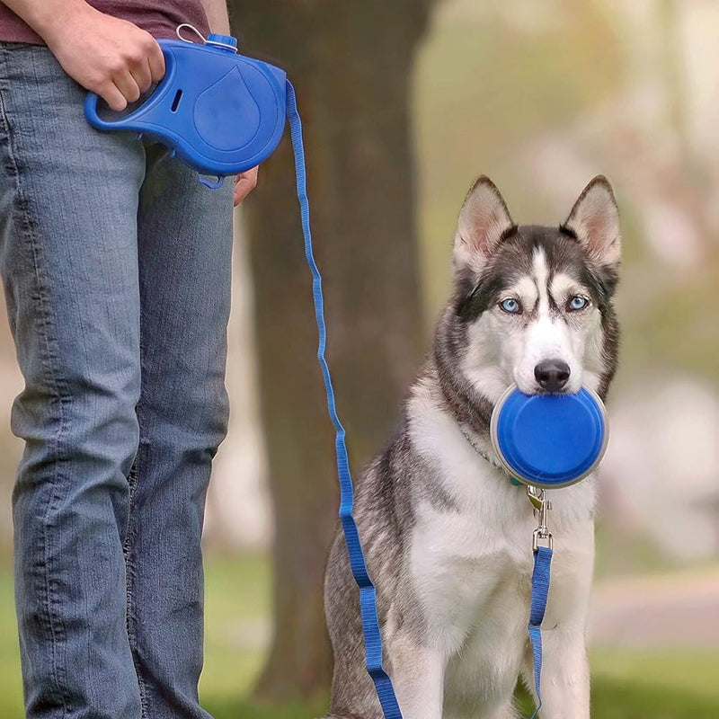 TrustOwl™ 4 in 1 Dog Retractable Leash
