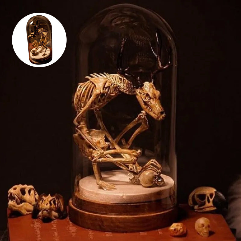 Skeleton Curiosity Cabinet