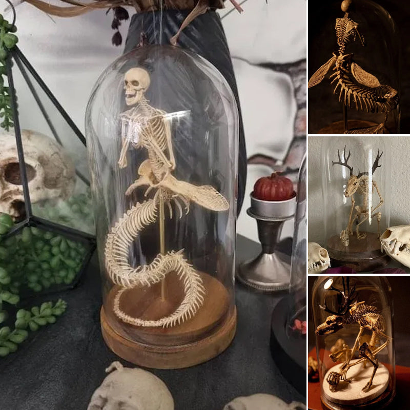 Skeleton Curiosity Cabinet