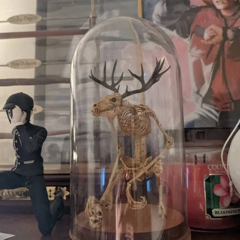 Skeleton Curiosity Cabinet